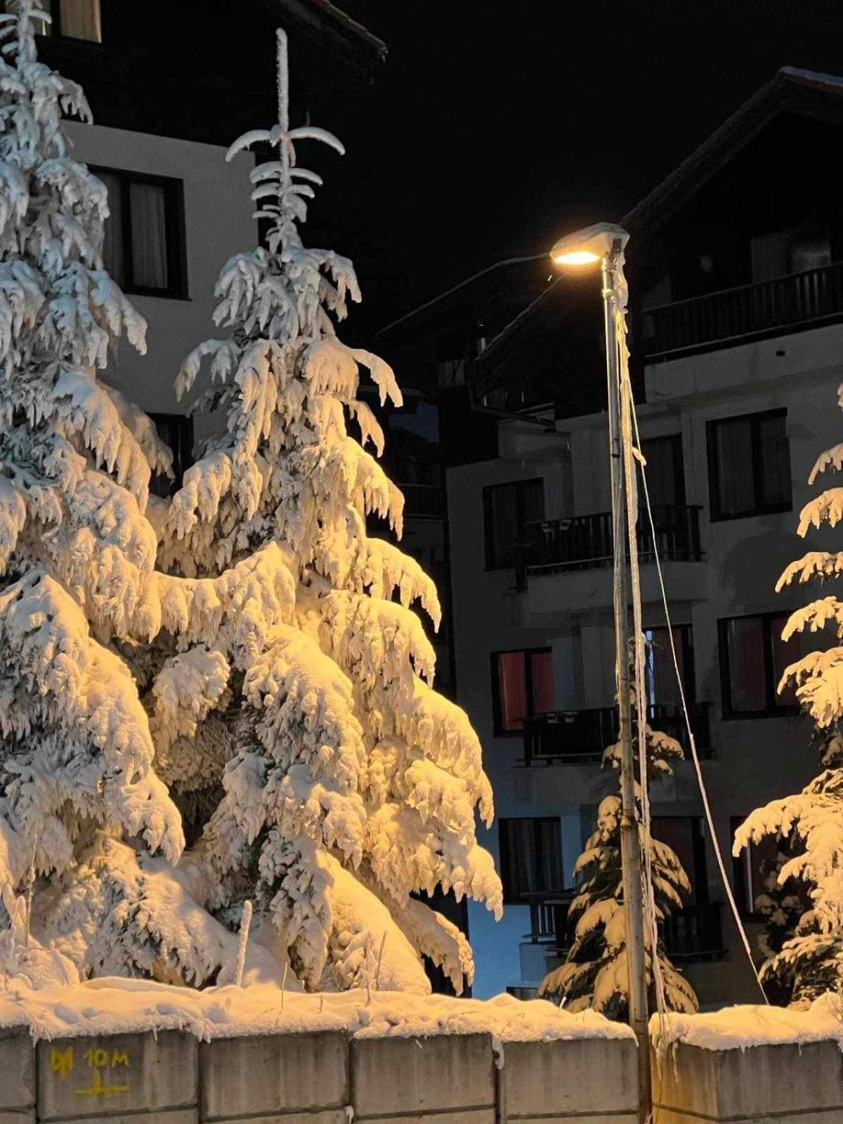 Arboro Borovets Gardens E68 아파트 외부 사진